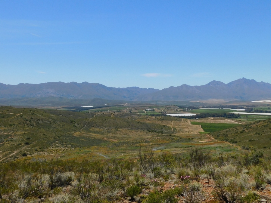 Commercial Property for Sale in Bonnievale Western Cape